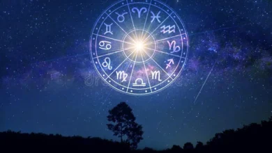Zodiac Transformation & Abundance Forecast
